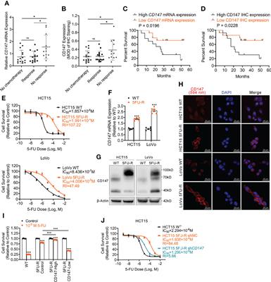 CD147 Mediates 5-Fluorouracil Resistance in Colorectal Cancer by Reprogramming Glycolipid Metabolism